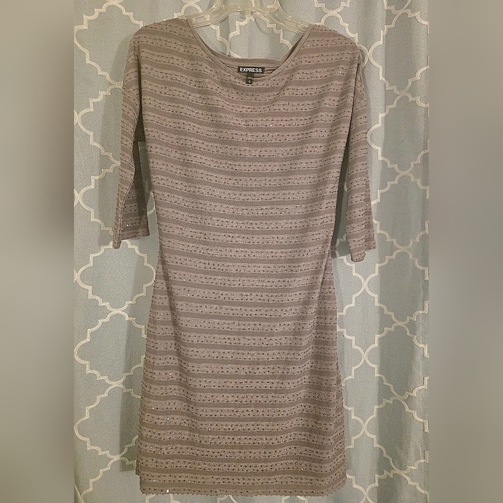 Express Metallic Gray V-Neck Top